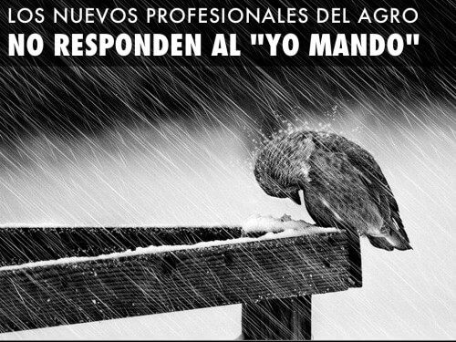 profesionales del agro, marketing, agromarketing, agroalimentario