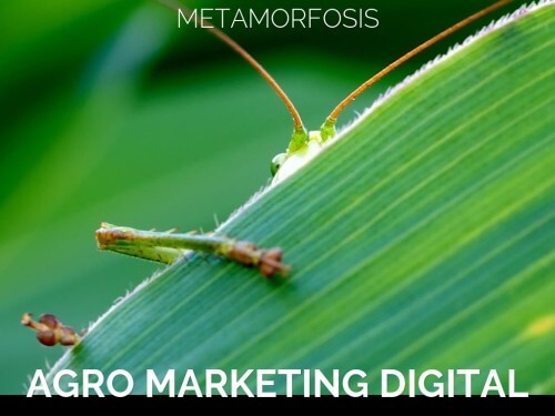 agro marketing digital, marketing digital, bialar
