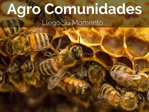 agro comunidades, marketing, agromarketing, bialar
