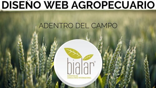 diseño web agropecuario agro campo