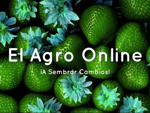 agro online, bialar. marketing agropecuario