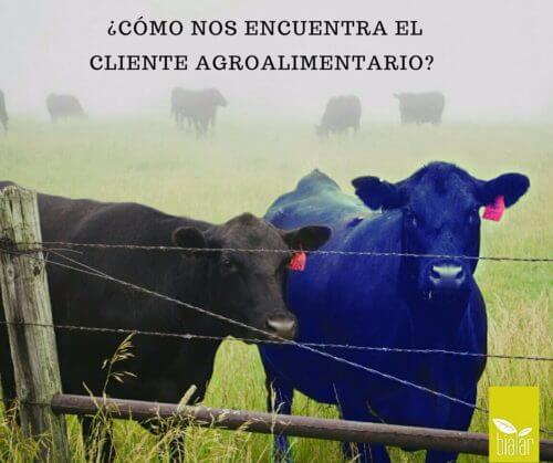 estrategia-comunicación-publicidad-agroalimentario