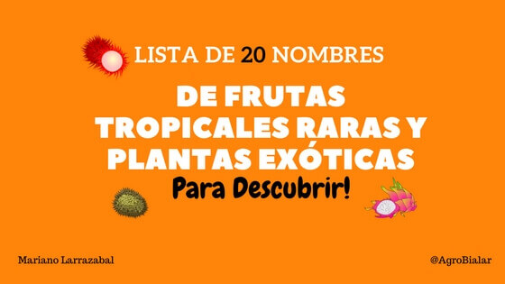 Frutas Tropicales Raras y Plantas Exóticas