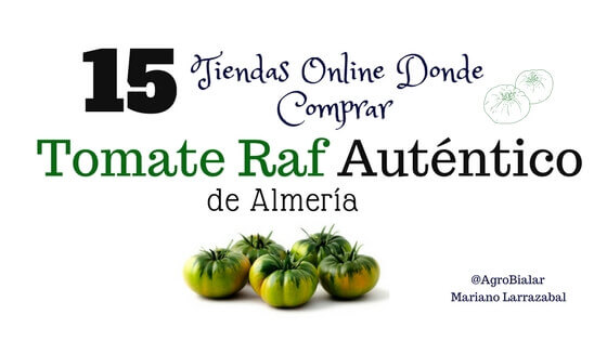 Tomate Raf Online autentico