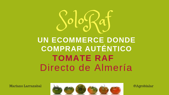 Soloraf. Un Ecommerce Donde Comprar Auténtico Tomate Raf Directo de Almería