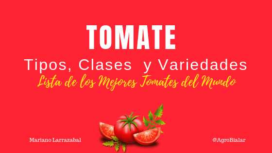 Tipos de tomate
