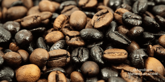 Origen del Café