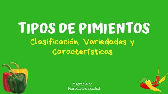Tipos de Pimientos Clasificación, Variedades y Características. Plagas y Enfermedades