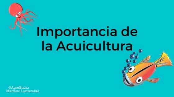 Importancia de la Acuicultura
