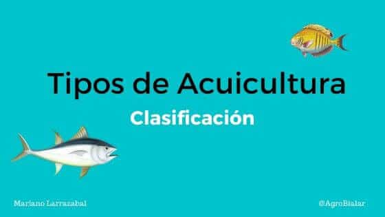 Tipos-de-acuicultura-Clasificación.