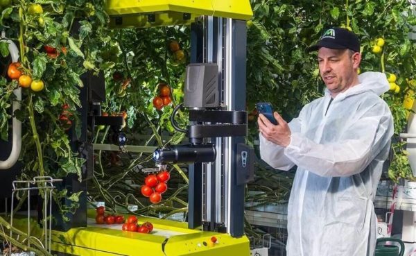 GRoW Robot autónomo-tomates