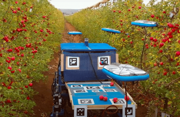 robots voladores autónomos del mundo que recogen frutas