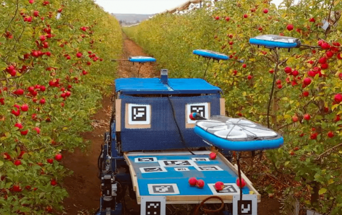 robots voladores autónomos del mundo que recogen frutas