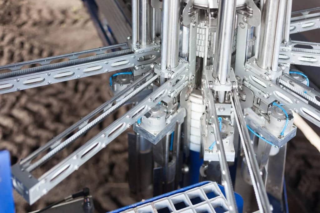 cosecha de espárragos