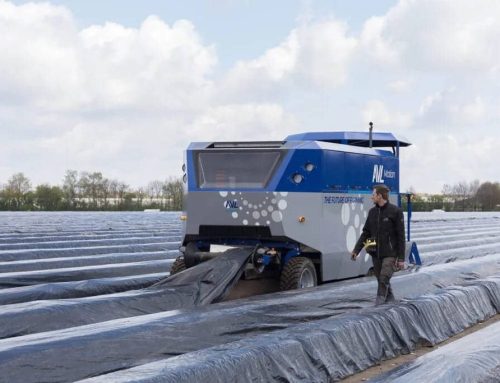 Robot cosechador de espárragos AVL Motion S9000: el mayor avance en la cosecha de espárrago y su automatización