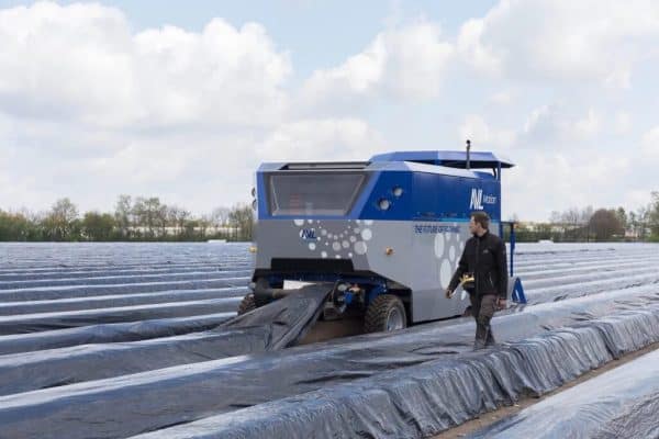 automatización en la cosecha de espárrago