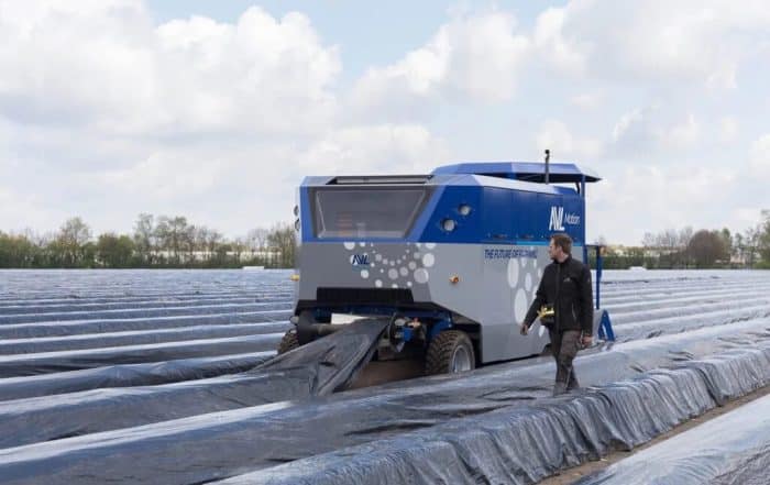 automatización en la cosecha de espárrago